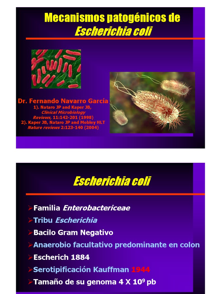 Mecanismos patogénicos de Escherichia coli | Escherichia coli | Actina