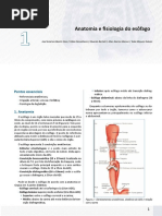 24224478_MEDCEL__GASTROENTEROLOGIA