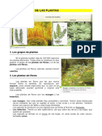 Clasificacion-de-Las-Plantas.pdf
