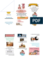 Leaflet Pneumonia