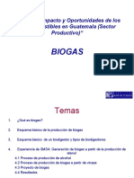 BIOGAS.pdf