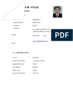 Curriculum Vitae Julio Mendoza