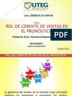 Tarea 1 - Rol Gerente de Ventas