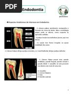 Resumo Endo