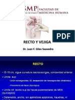 Recto y Vejiga Usmp 2016