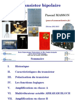 Bipolaire Cours - Projection - MASSON PDF