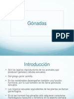 gonadas-120816125350-phpapp01