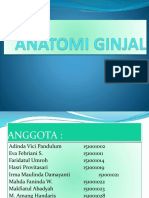 ANATOMI GINJAL