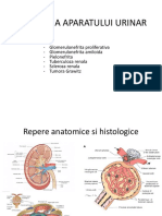 6.patologia Aparatului Urinar