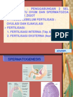 Fertilisasi Dan Embriologi Fkm09