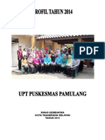 Profil PKM Pamulang 2014