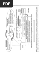 Modelo de Desenvolvimento Biossocial Do TPB