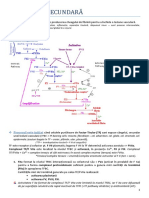 hemostaza secundara.docx