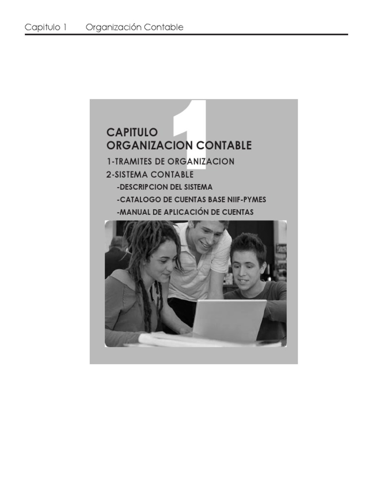 Organización Contable en Empresas S.A. | PDF | Contabilidad | Contador