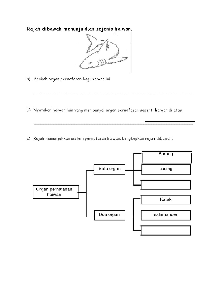 Sains Tahun 4 Organ Pernafasan Haiwan Lessons Blendspace