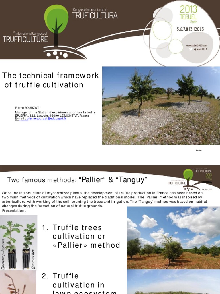 Truffle Cultivation Methods Explained | PDF | Tillage | Soil