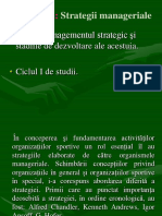Strategii Manageriale PDF