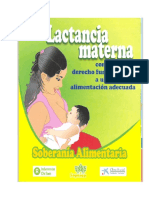 Documento Lactancia Materna