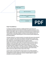 Tarea Nº 1