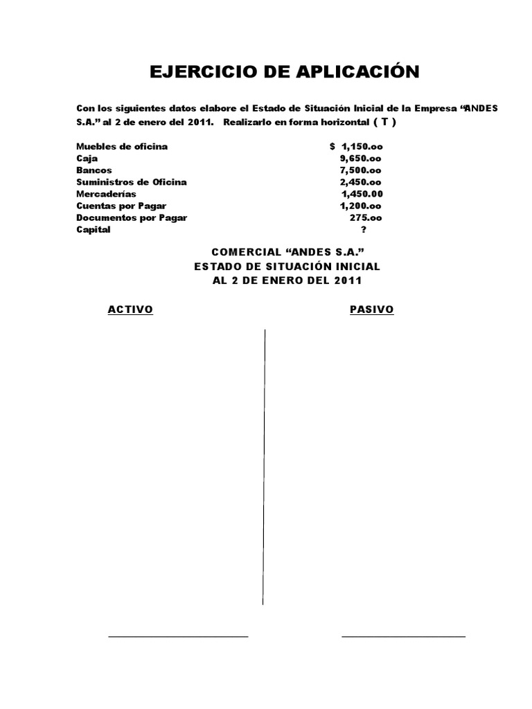 Ejemplo de Estado de Situación Inicial | PDF