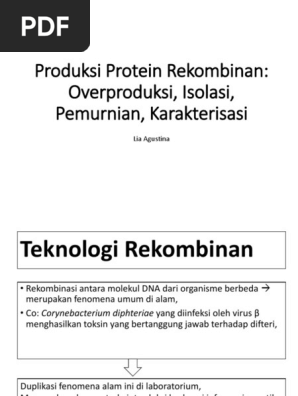 Produksi Protein Rekombinan 1 Pdf