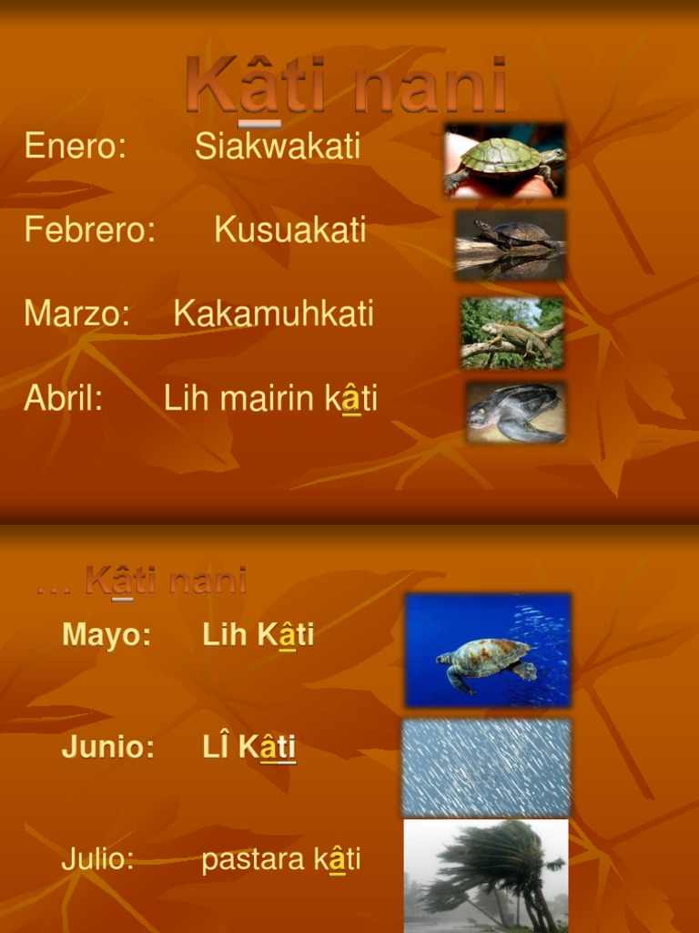 Meses y vocabulario en miskito | PDF