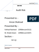 Write Up of Audit Risk