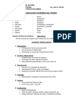 Clasificación Taxonomica Delcaprino PDF