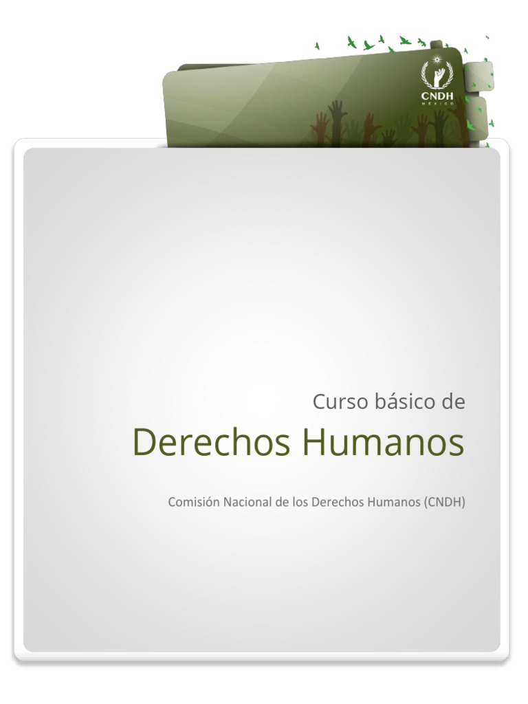 Derechos Humanos Mexico | PDF | Derecho Constitucional | Derechos humanos