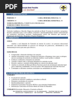 Programa 6pedagogia Curriculos Programas