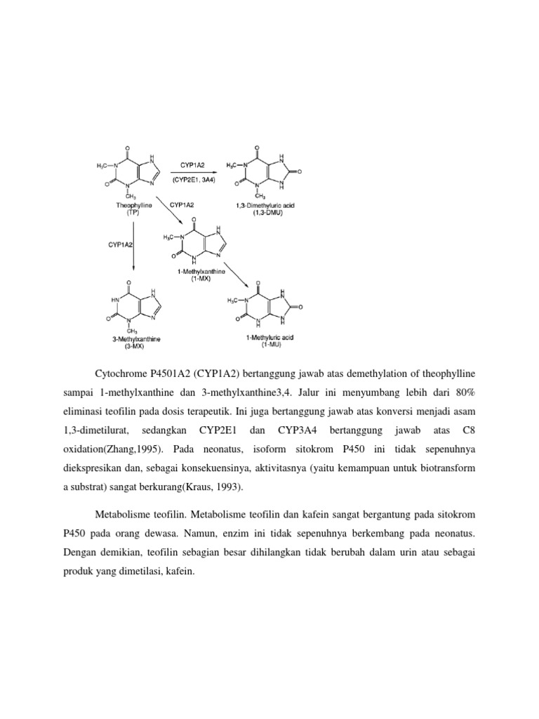 Teofilin 85 | PDF