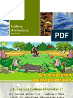 Cadena Alimentaria