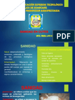 SANIDAD-DE-CUYES.pdf