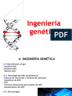 4 IngenierA a GenA Tica