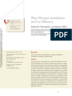 eficiencia del nitrogeno.pdf