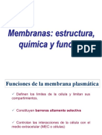 Membrana Plasmatica