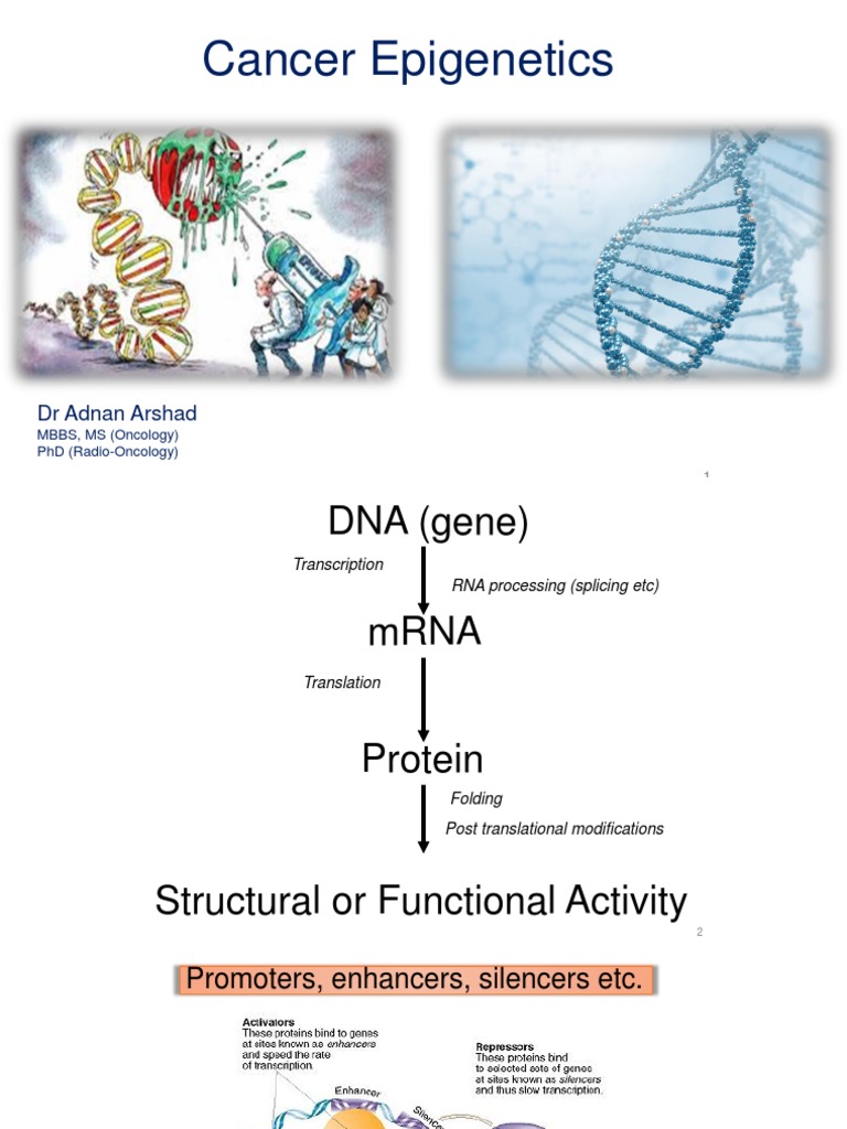 Cancer Epigenetics | PDF | Dna Methylation | Histone