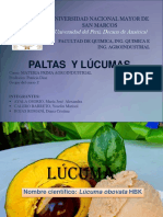 Paltaylucuma