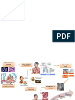 Patogenesis Pneumonia