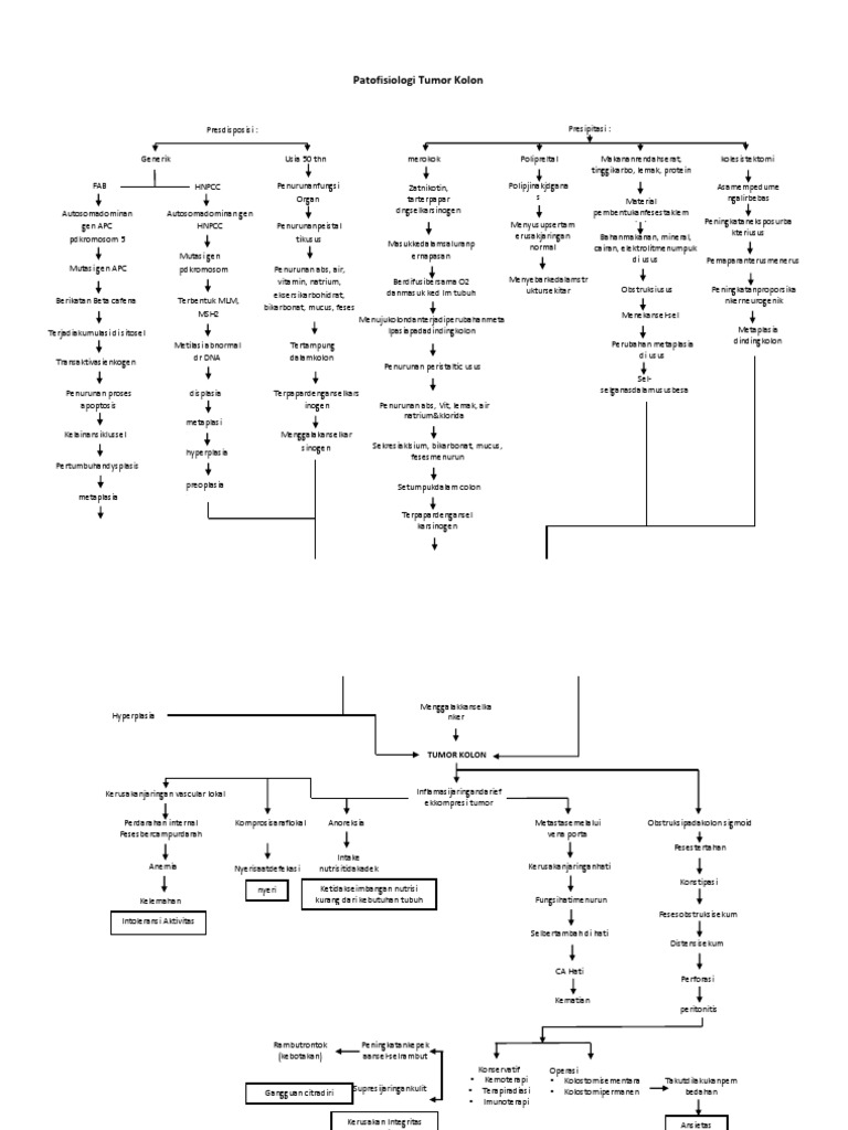 Patofisiologi Tumor Kolon Pdf
