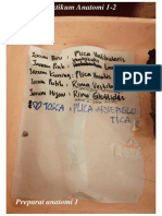 foto-praktikum-anatomi-1-2.pdf
