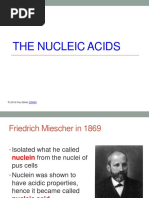 02 the Nucleic Acids