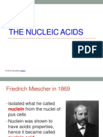 The Nucleic Acids: © 2016 Paul Billiet