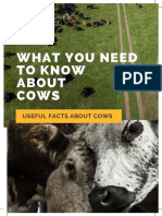 Cattle Farming - All You Need To Know-2