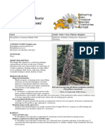 Phytophthora Cinnamomi