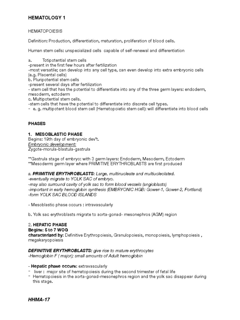 HEMATOLOGY 1 Hematopoiesis Notes 1 | PDF | Bone Marrow | Haematopoiesis