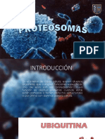 Proteosomas