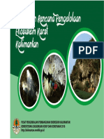 Buku Karst P3E Kalimantan