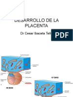 Desarrollo de La Placenta