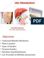 1. Bilirubin Metabolism